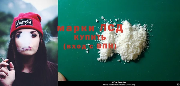 spice Аркадак