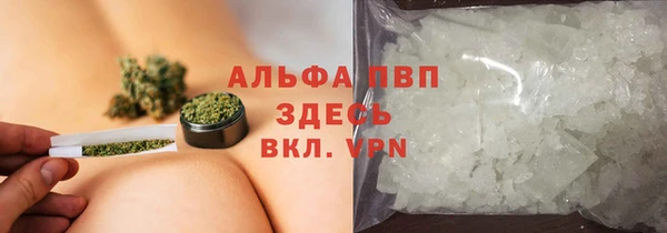 spice Аркадак