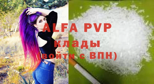spice Аркадак