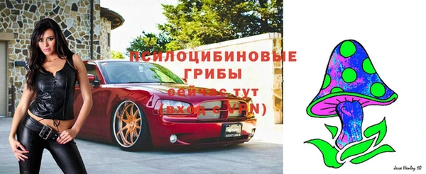 спиды Арсеньев