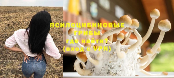 спиды Арсеньев