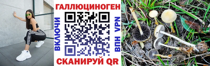 Галлюциногенные грибы мухоморы Гаврилов-Ям