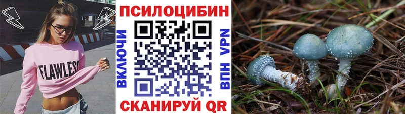 Галлюциногенные грибы Psilocybine cubensis  гидра маркетплейс  Гаврилов-Ям 